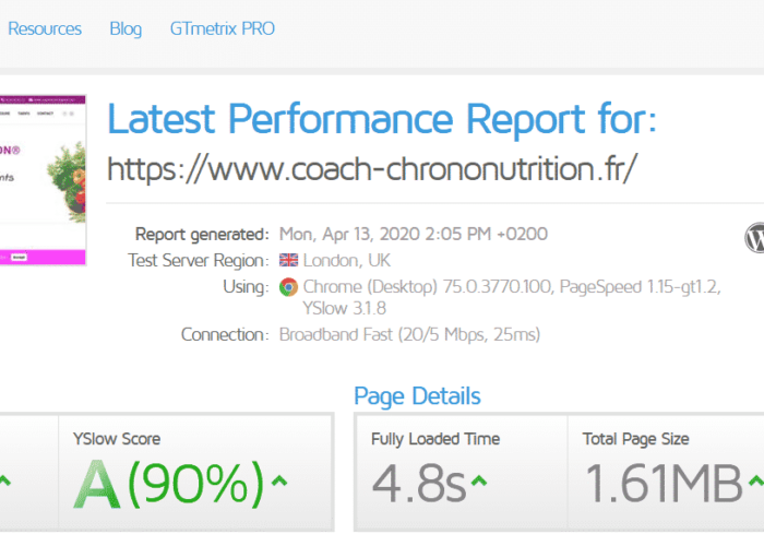 coach-chrono-nutrition-gtmetrix